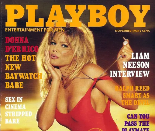 Донна Д'Эррико на обложке журнала Playboy (выпуск за ноябрь 1996 года)