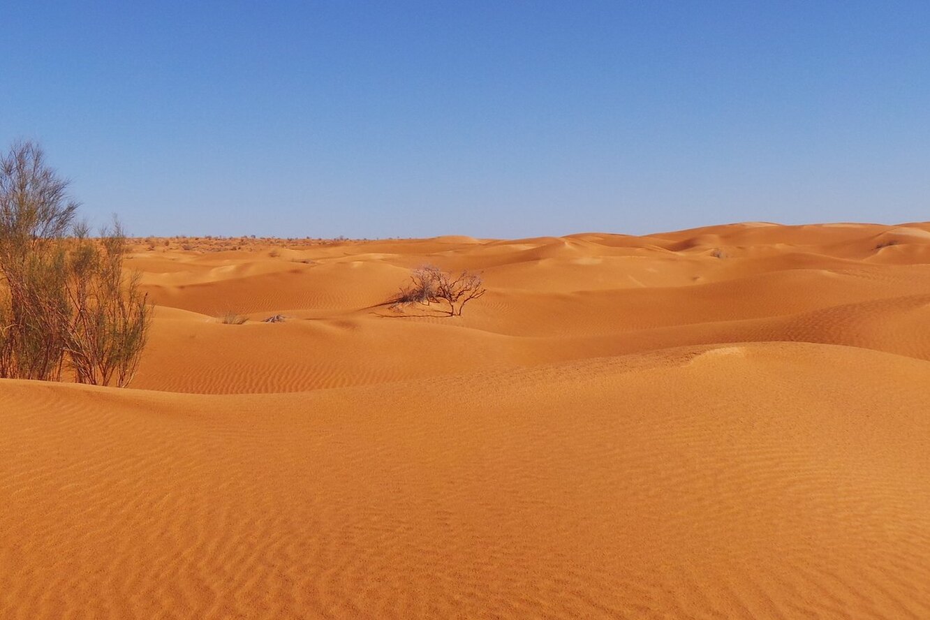 Пустыня сахара климат
