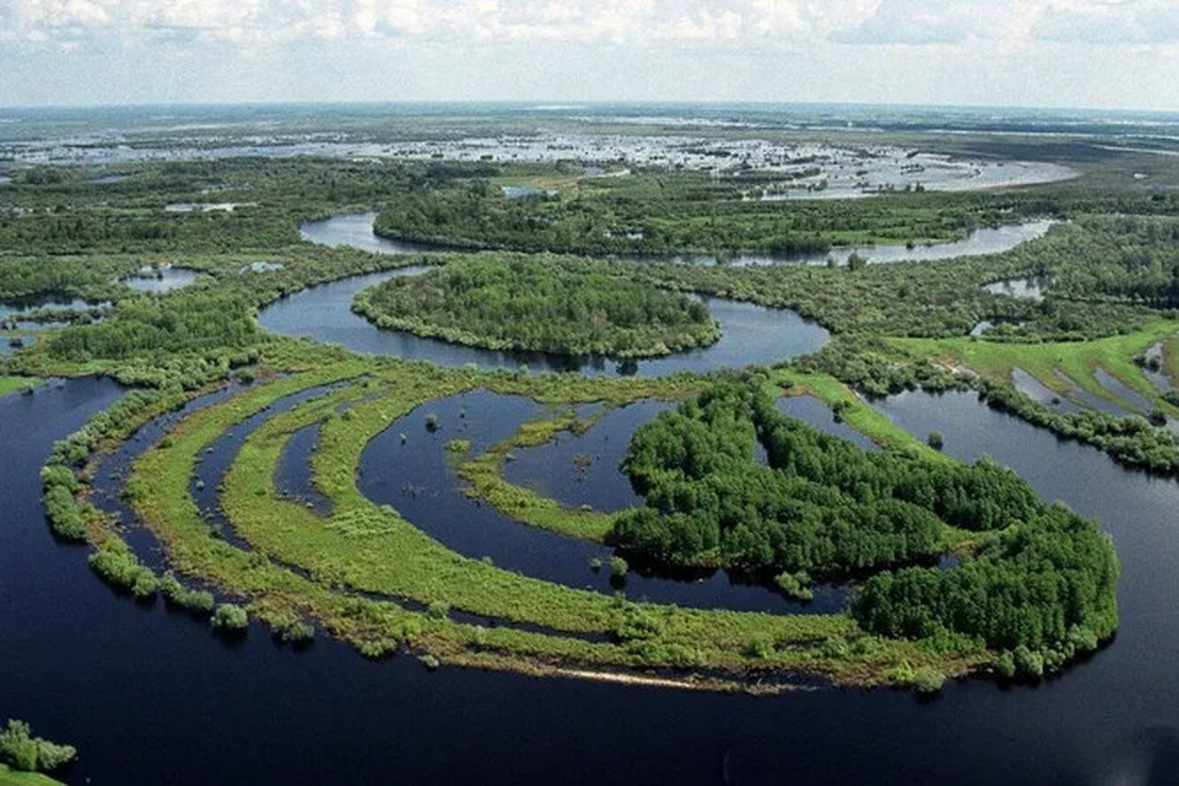 Томск Васюганское болото