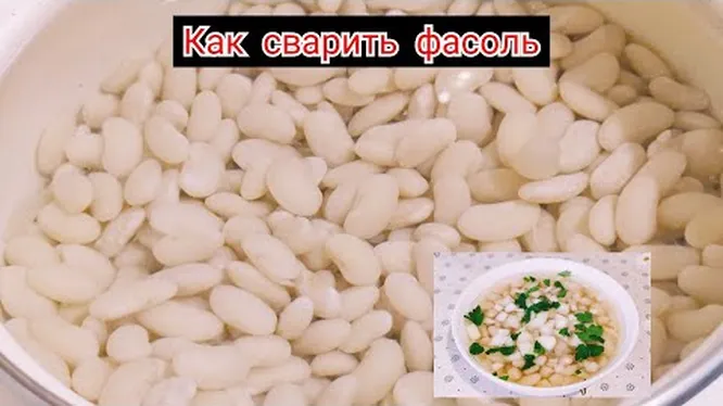 Нажми и смотри