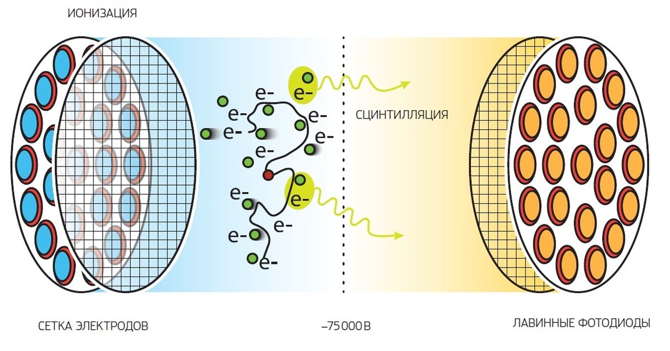 Сцинтилляция. Сцинтиляционный метод. Сцинтилляция схема. Сцинтилляция рисунок.