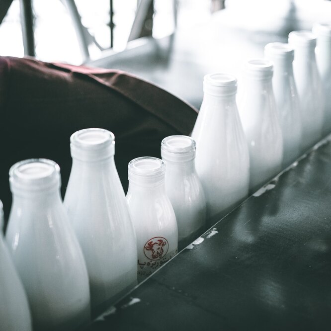 Заменитель молочного жира: что это, из чего делают, опасен ли?