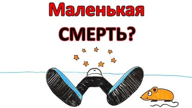 Нажми и смотри