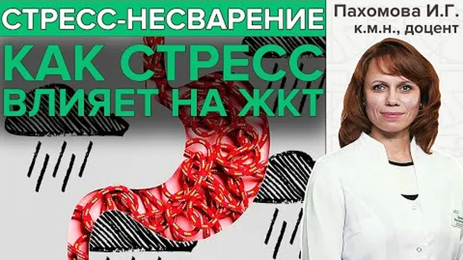 Нажми и смотри