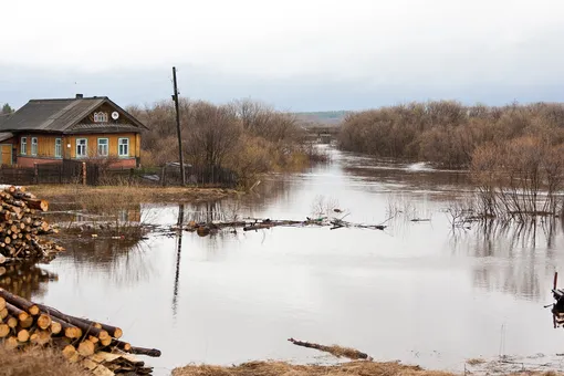 Новый этап половодья: Вильфанд предупредил россиян