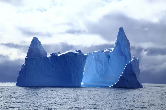 «Вселенная подает нам знак»: гигантский айсберг в форме члена удивил Илона Маска