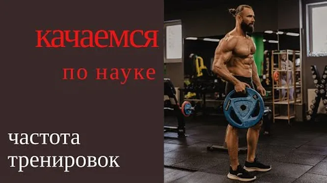 Нажми и смотри