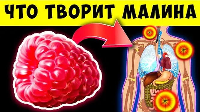 Терапевт Другакова объяснила, кому нельзя есть малиновое варенье при простуде