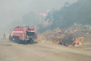 Более 200 человек эвакуированы с турбазы в Анапе из-за надвигающегося лесного пожара