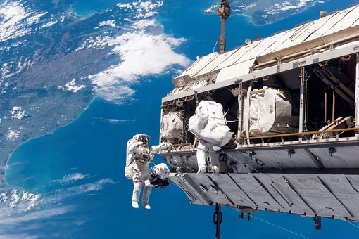 Космонавты нашли на МКС бактерию-мутанта: уничтожить ее почти невозможно
