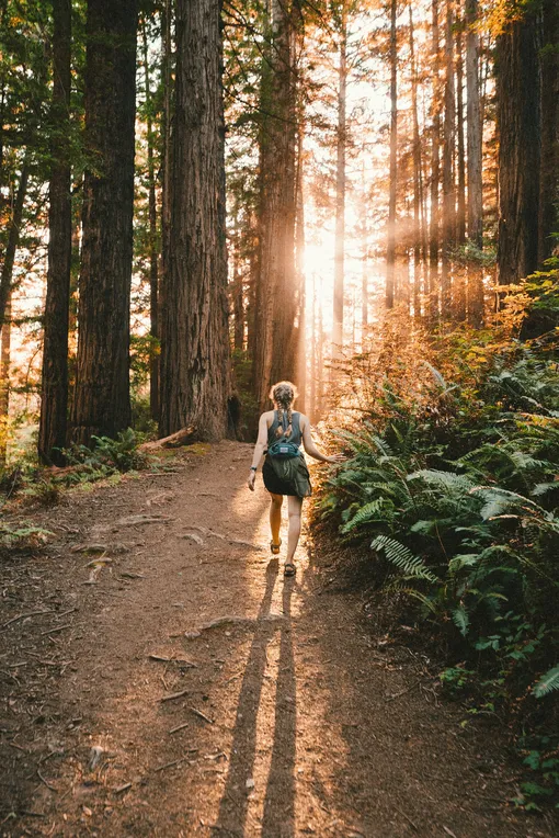 Девушка гуляет в лесу