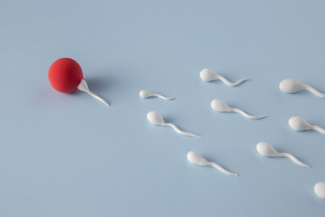Может ли у мужчины закончиться сперма? - Новости - MEN's LIFE