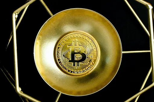 Bitcoin (BTC). Представлен в 2009 году. Первый децентрализованный вид криптовалюты для проведения финансовых транзакций без третьих сторон. С тех пор Bitcoin стал одной из самых популярных и дорогих криптовалют в мире.