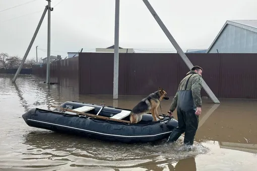 Вода уходит из затопленного Орска: что будет с пострадавшими домами