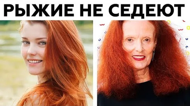 Нажми и смотри