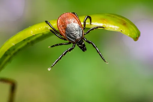 Фото автора Erik Karits: Pexels