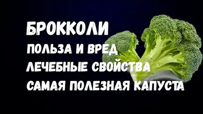 Нажми и смотри