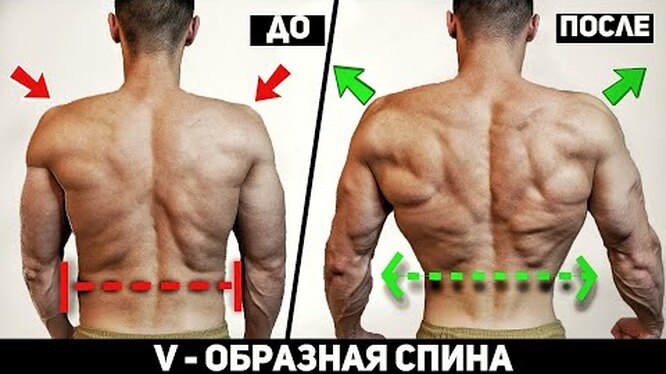10 упражнений для мышц спины