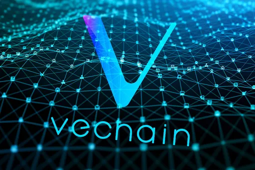 «Пирамида» или будущее логистики — что такое VeChain на самом деле?