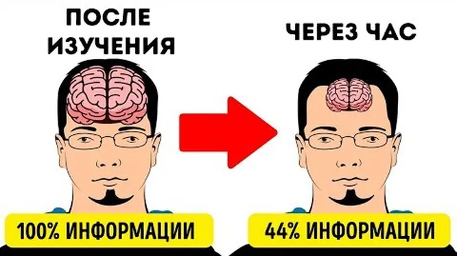 Нажми и смотри