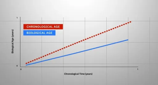 Биохакер показал график того, как здоровый образ жизни помог ему замедлить старение