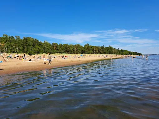 Пляж в Комарово  