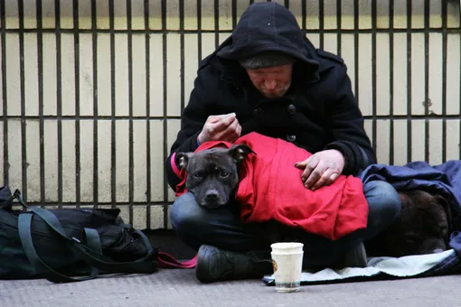 Бездомный нашел кошелек с крупной суммой и отнес его в полицию: неравнодушные люди собрали для него 3 миллиона