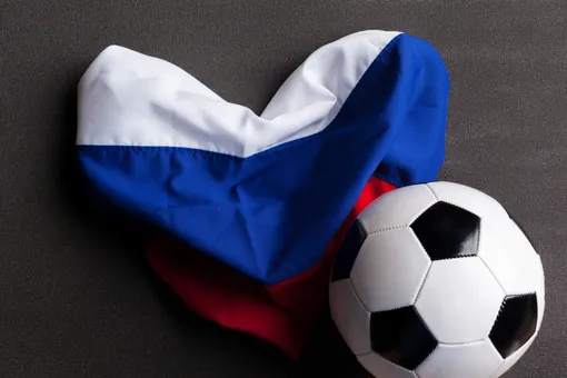 Помогла русская смекалка: болельщики сумели пронести триколор на матч Евро-2024