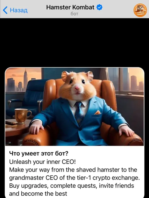 Hamster Kombat бот