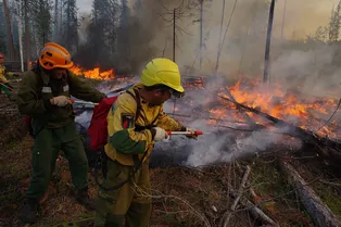 Россия в огне: почему каждое лето полыхают леса