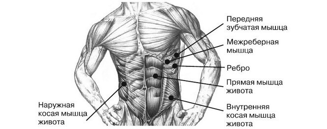 Как накачать пресс правильно: упражнения и рекомендации | Блог Spirit. Fitness