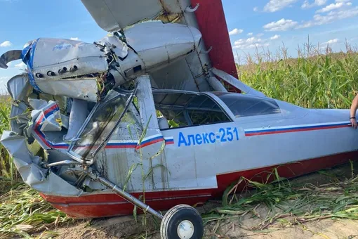 Все на борту погибли: в Подмосковье рухнул самолет-амфибия