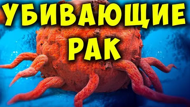 Нажми и смотри