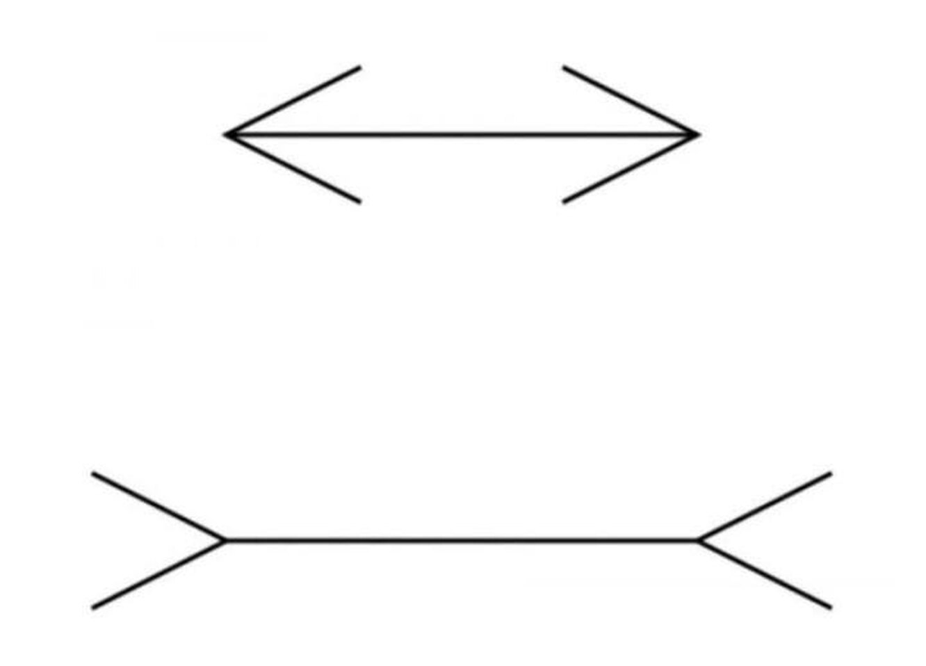 Оптико-Геометрическая иллюзия Мюллера-Лайера