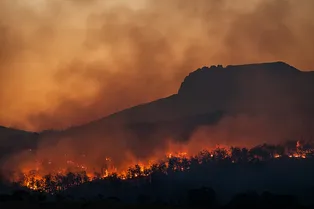 Мощный лесной пожар на Кубани добрался до туристов. Безопасно ли отдыхать в регионе?