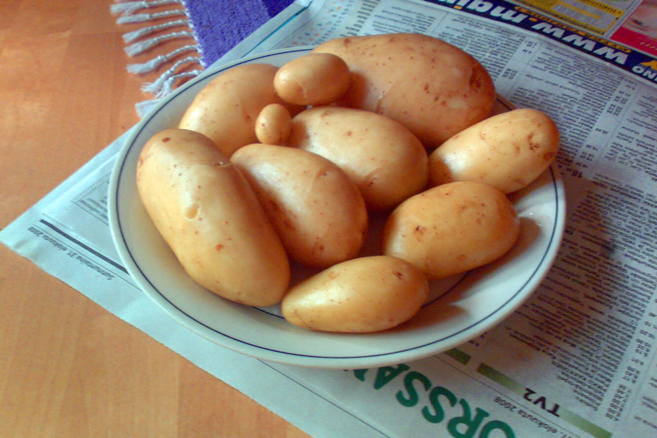 Килограмм картофеля