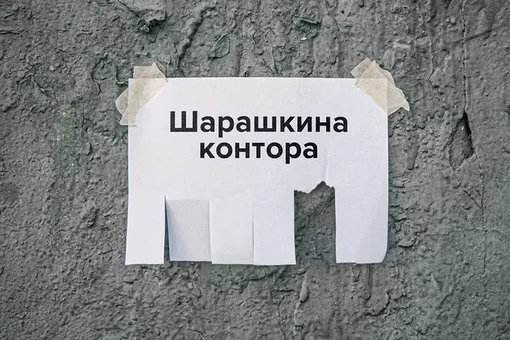 Чем знаменит Шарашкин, и почему никто не хочет обращаться в его контору?