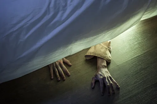 Монстры из-под кровати существуют: женщина услышала таинственный шум под кроватью и обнаружила незваного гостя