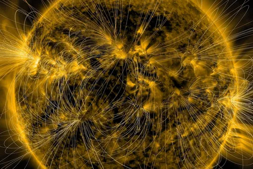 Самый точный способ предсказать магнитные бури: ученые наконец поняли, где зарождается солнечная активность