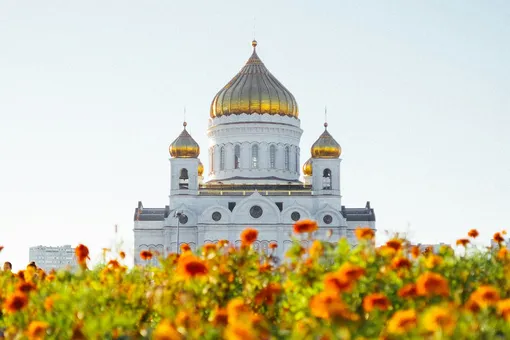 Аномальная жара продлится до осени? Синоптики рассказали о погоде в Москве на этой неделе