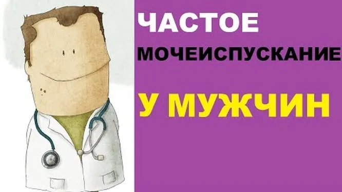 Частое мочеиспускание или почему я так часто писаю?