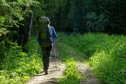 Туристы заблудились в национальном парке из-за ошибки Google Maps. Они неделю не могли найти выход