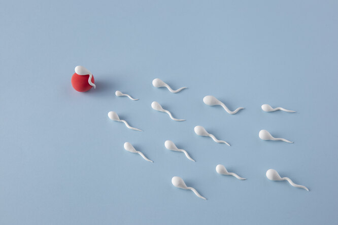 Что происходит, когда мужчина ест свою сперму: научные факты и мифы