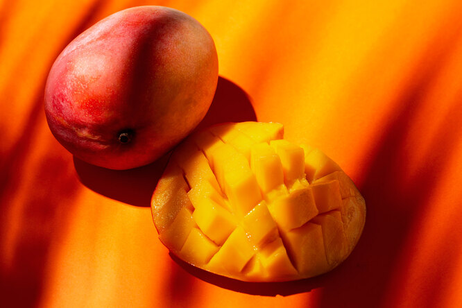 Сорта манго фото и названия на русском