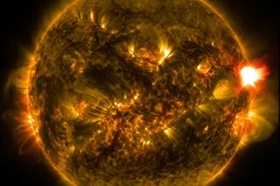 Солнце приближается к пику: астрономы предупреждают о десятках мощных вспышек