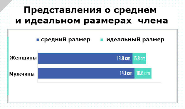 Каков средний размер мужского члена в России?