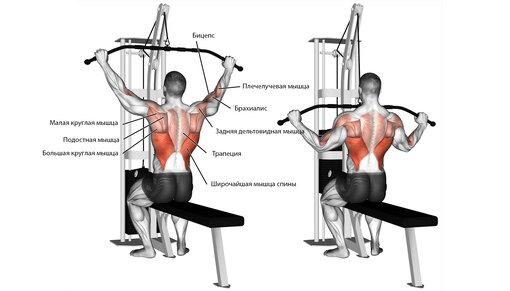 Силовой тренажер верхняя тяга
