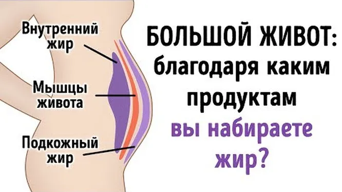 Опасные болезни, из-за которых растет живот