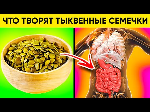 Тыквенные семечки: активатор мозга и половой системы